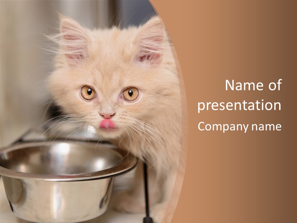 A Cat Is Sticking Its Tongue Out Next To A Bowl PowerPoint Template