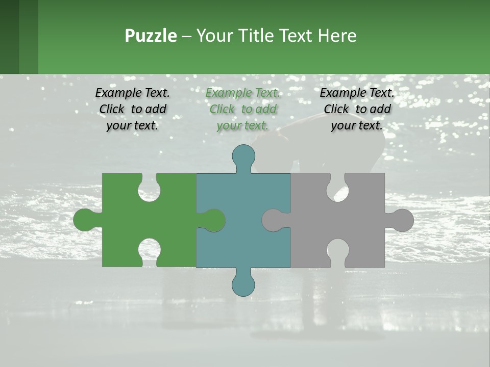 A Person And A Dog On A Beach PowerPoint Template