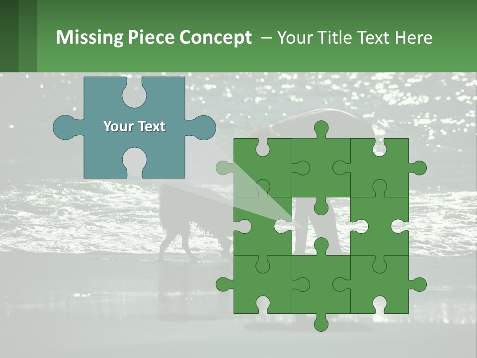 A Person And A Dog On A Beach PowerPoint Template