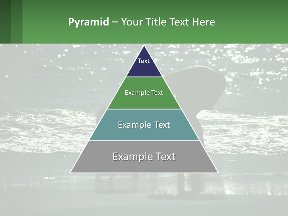 A Person And A Dog On A Beach PowerPoint Template