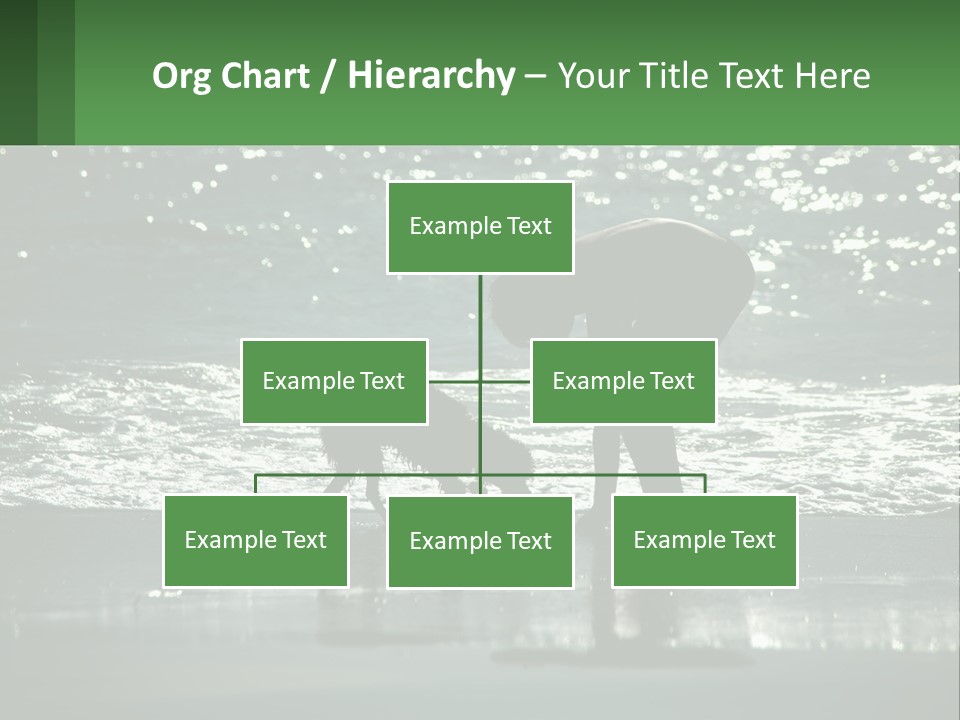 A Person And A Dog On A Beach PowerPoint Template