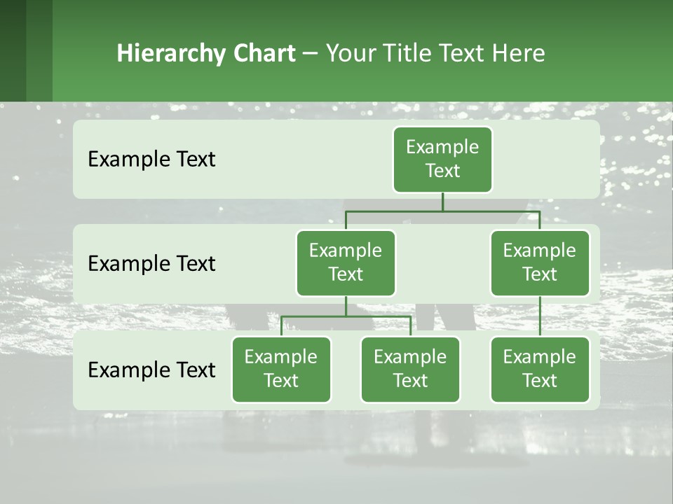 A Person And A Dog On A Beach PowerPoint Template