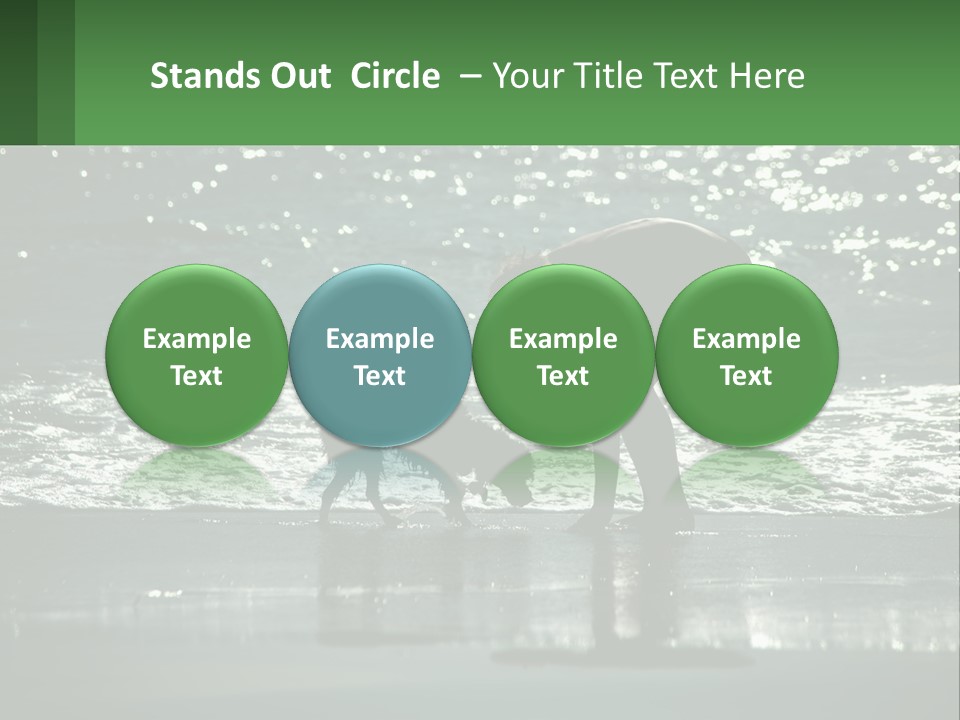 A Person And A Dog On A Beach PowerPoint Template