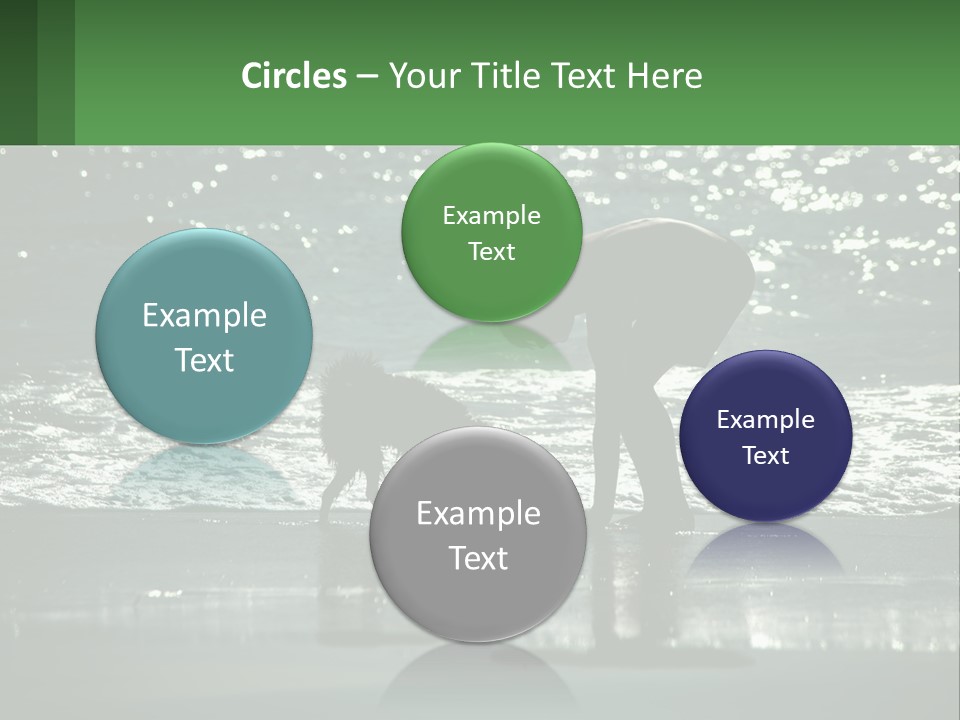 A Person And A Dog On A Beach PowerPoint Template