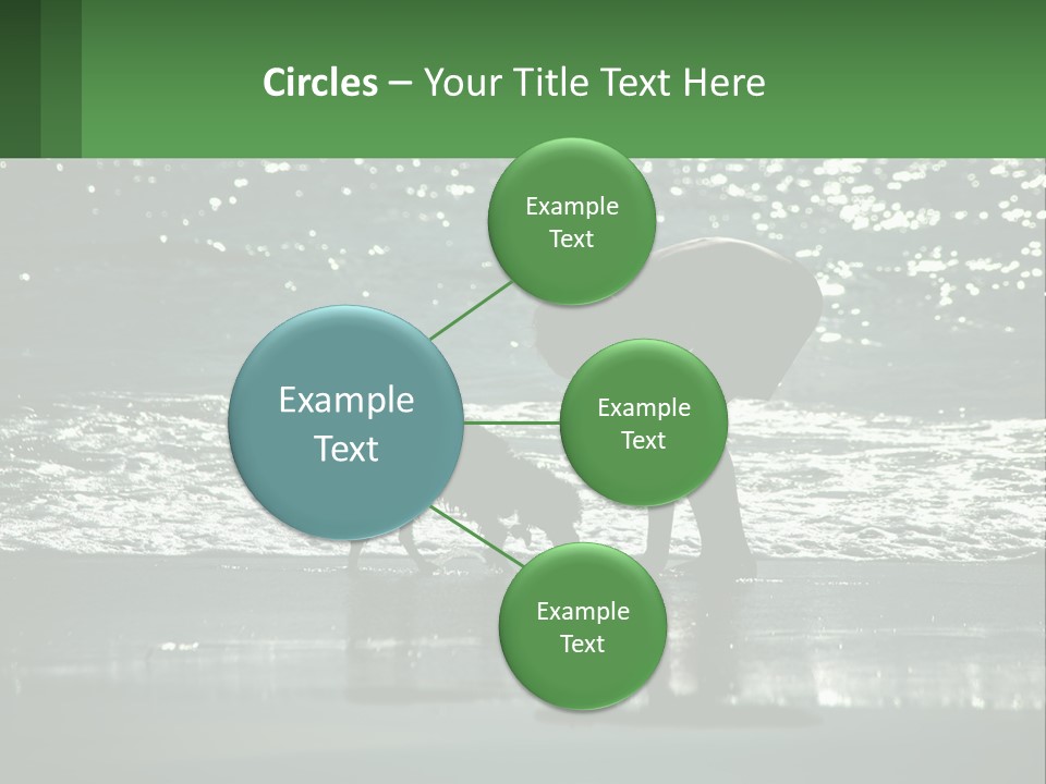 A Person And A Dog On A Beach PowerPoint Template