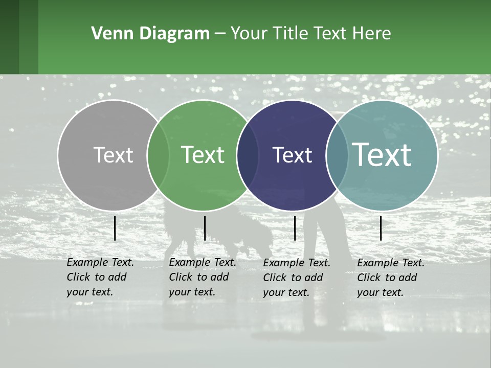 A Person And A Dog On A Beach PowerPoint Template