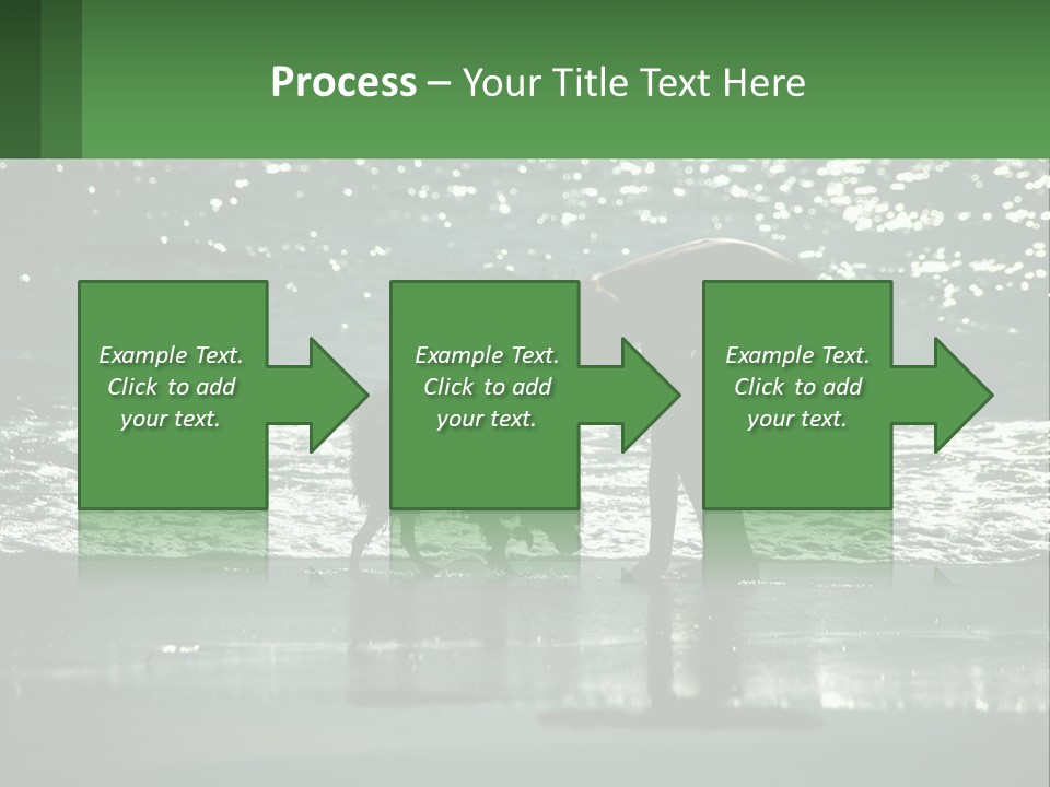 A Person And A Dog On A Beach PowerPoint Template