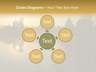 The Sun Is Setting Over A Lake With Reeds In The Foreground PowerPoint Template