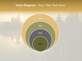 The Sun Is Setting Over A Lake With Reeds In The Foreground PowerPoint Template