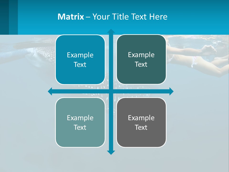 A Woman Swimming Next To A Whale In The Ocean PowerPoint Template