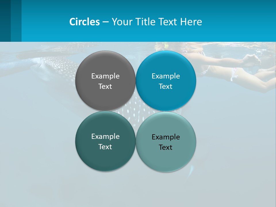 A Woman Swimming Next To A Whale In The Ocean PowerPoint Template