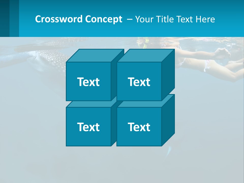 A Woman Swimming Next To A Whale In The Ocean PowerPoint Template