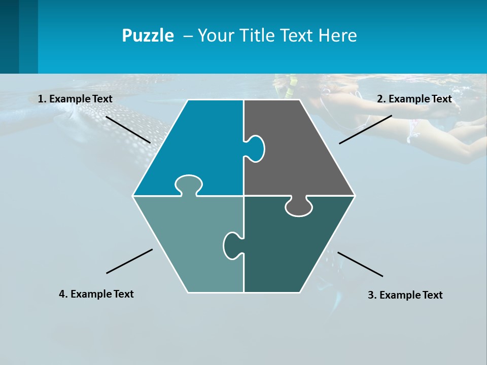 A Woman Swimming Next To A Whale In The Ocean PowerPoint Template