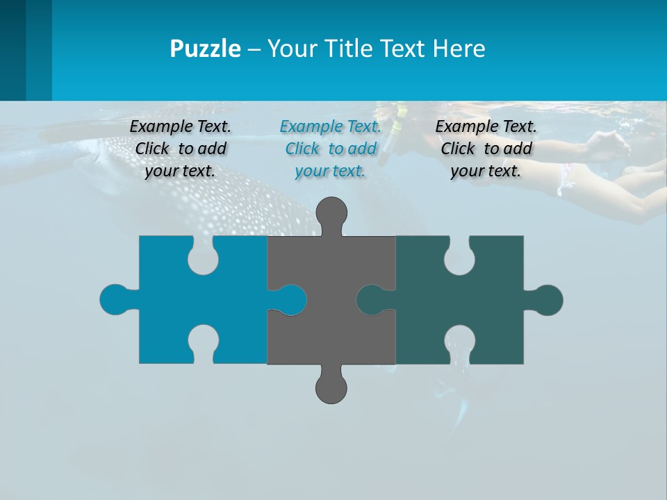 A Woman Swimming Next To A Whale In The Ocean PowerPoint Template