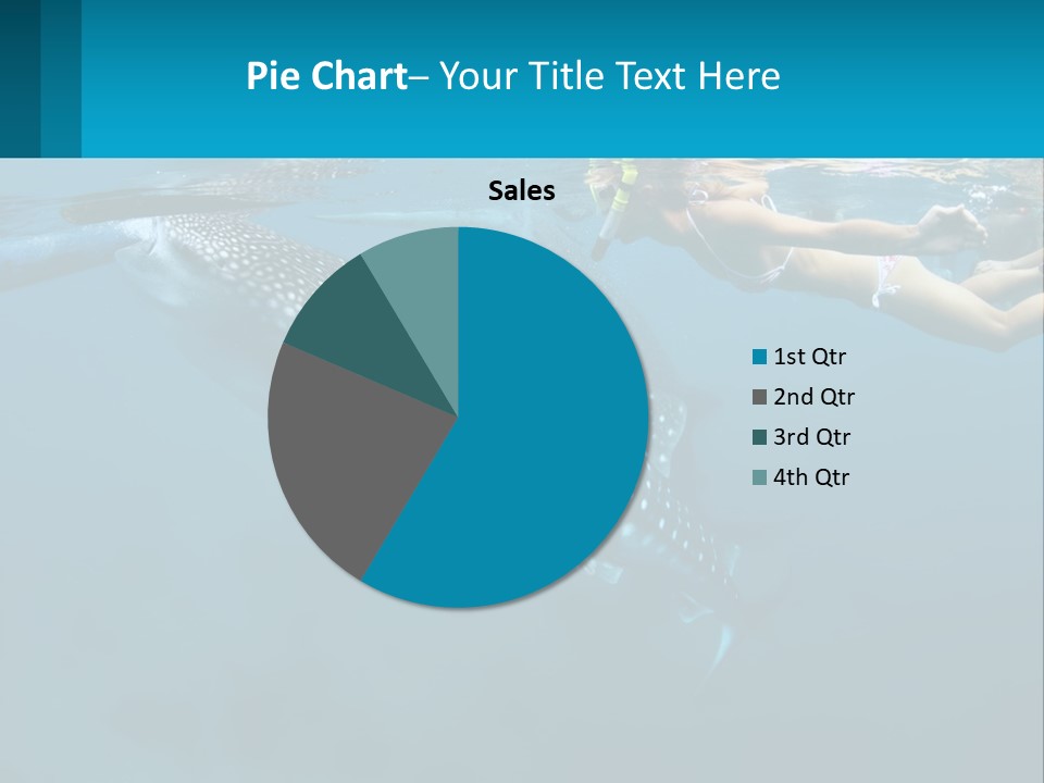 A Woman Swimming Next To A Whale In The Ocean PowerPoint Template