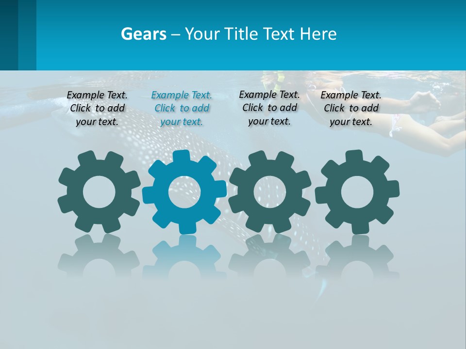 A Woman Swimming Next To A Whale In The Ocean PowerPoint Template