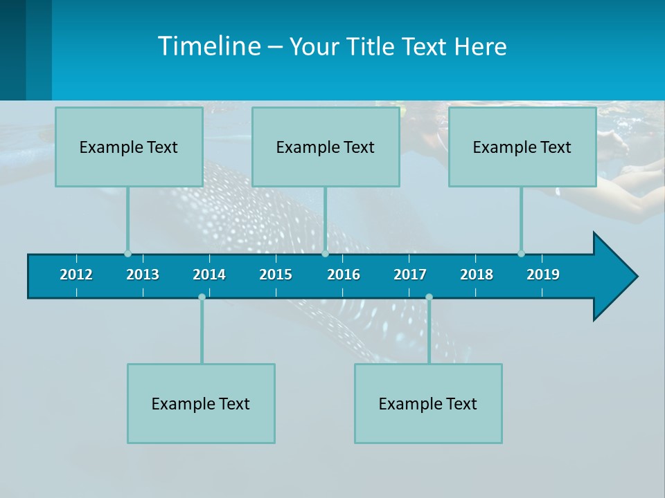 A Woman Swimming Next To A Whale In The Ocean PowerPoint Template