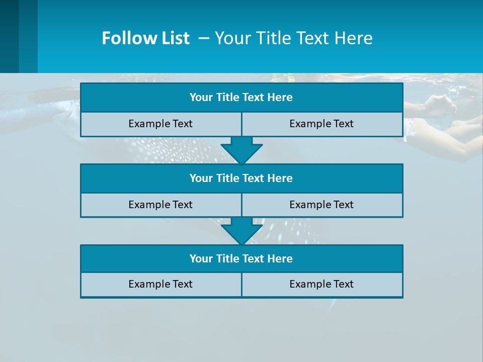 A Woman Swimming Next To A Whale In The Ocean PowerPoint Template