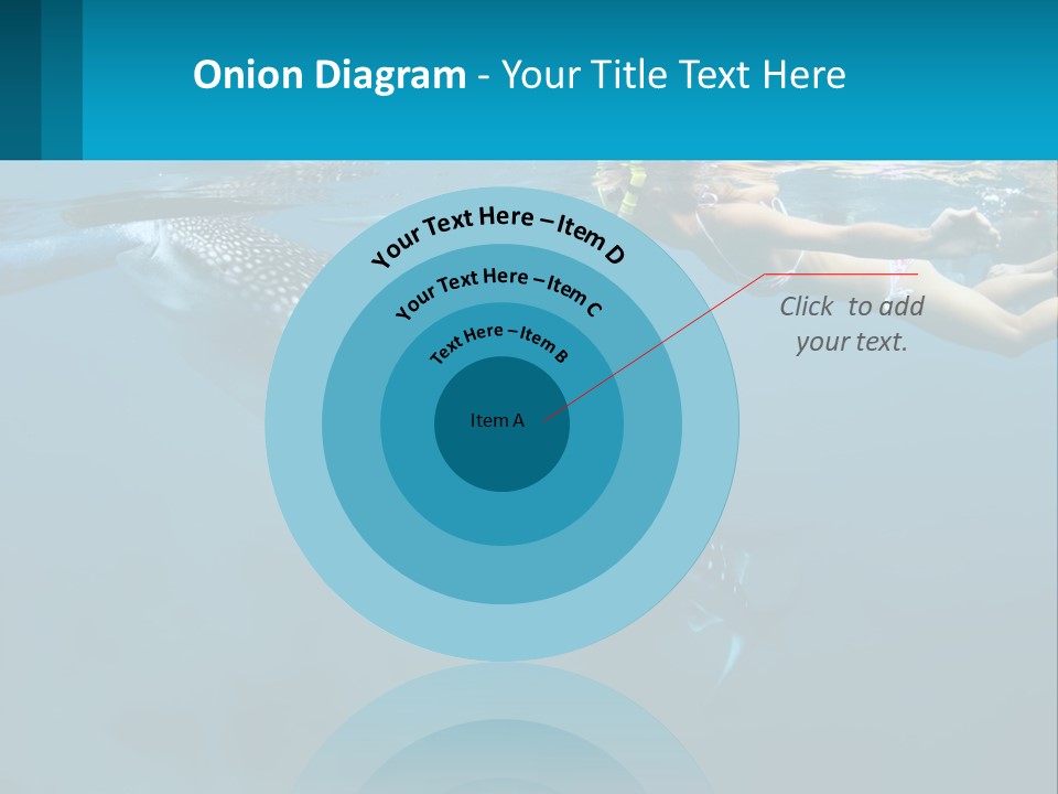 A Woman Swimming Next To A Whale In The Ocean PowerPoint Template