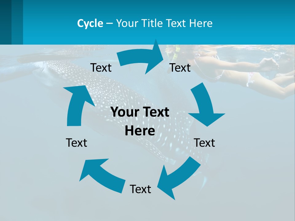 A Woman Swimming Next To A Whale In The Ocean PowerPoint Template