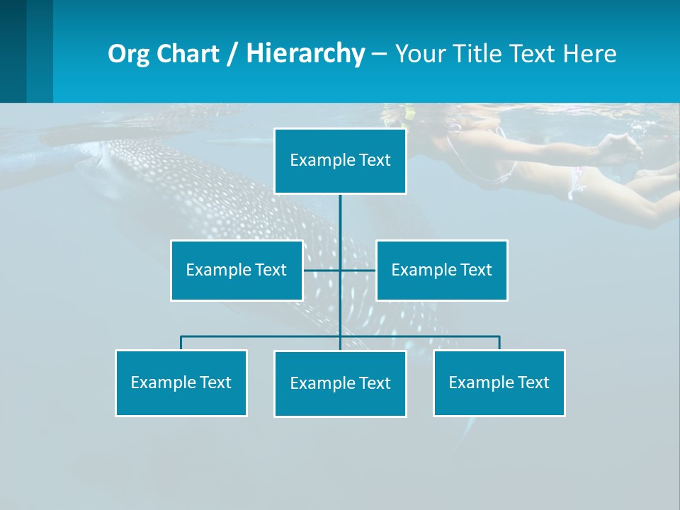 A Woman Swimming Next To A Whale In The Ocean PowerPoint Template