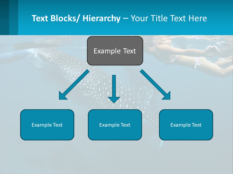 A Woman Swimming Next To A Whale In The Ocean PowerPoint Template