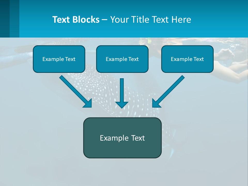 A Woman Swimming Next To A Whale In The Ocean PowerPoint Template