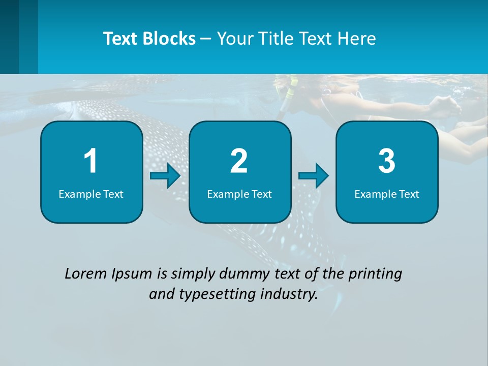 A Woman Swimming Next To A Whale In The Ocean PowerPoint Template