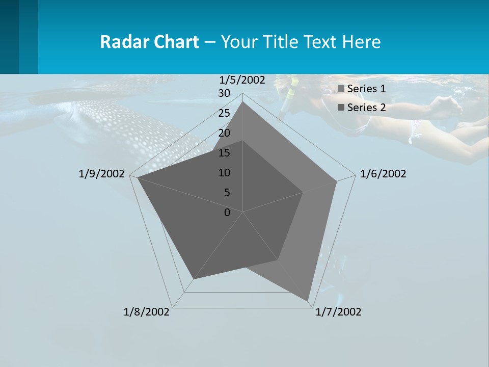 A Woman Swimming Next To A Whale In The Ocean PowerPoint Template