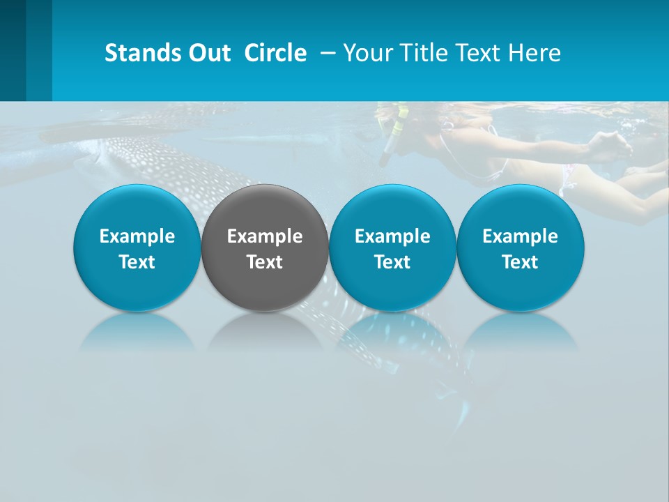 A Woman Swimming Next To A Whale In The Ocean PowerPoint Template