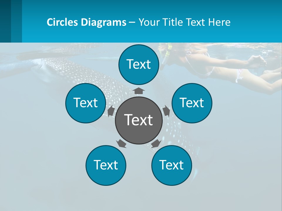 A Woman Swimming Next To A Whale In The Ocean PowerPoint Template