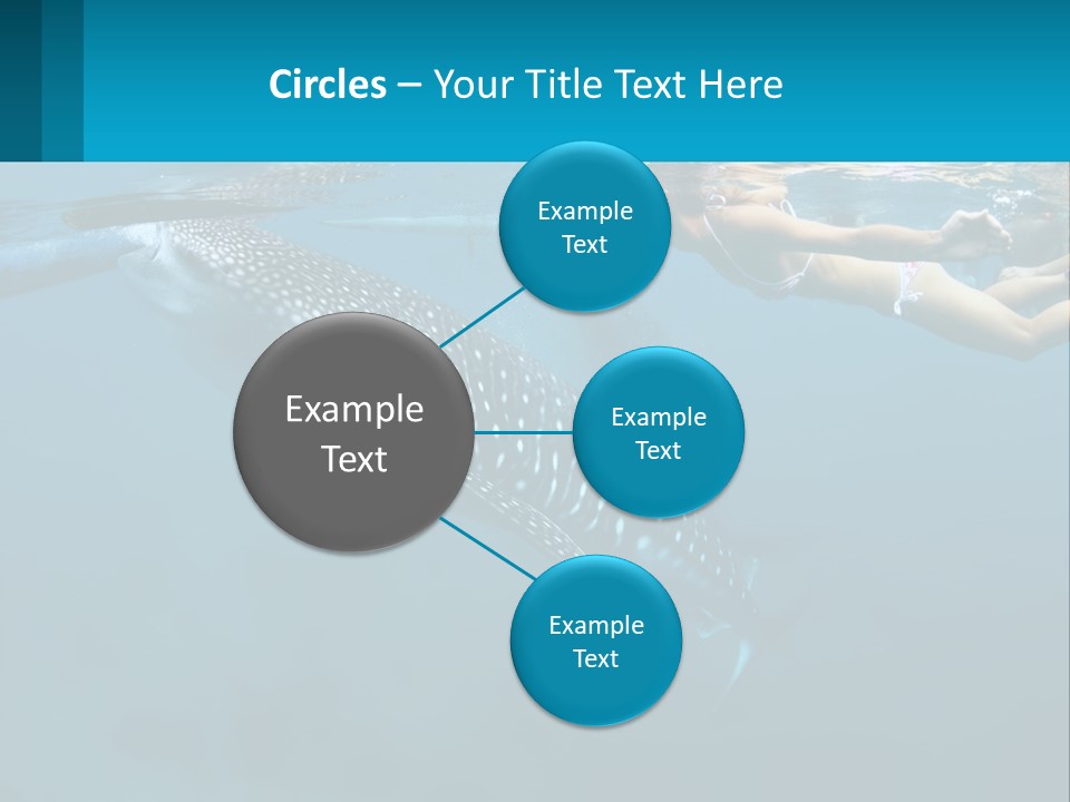 A Woman Swimming Next To A Whale In The Ocean PowerPoint Template