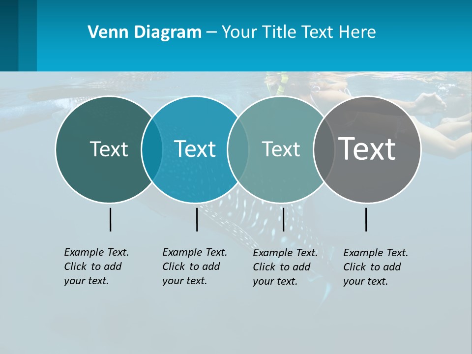 A Woman Swimming Next To A Whale In The Ocean PowerPoint Template