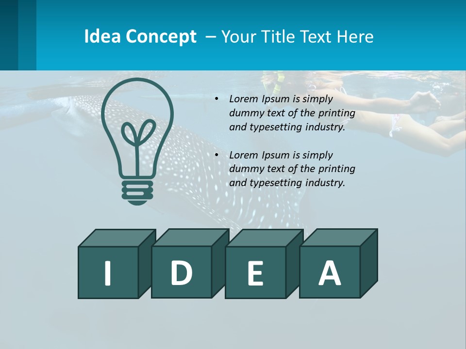 A Woman Swimming Next To A Whale In The Ocean PowerPoint Template