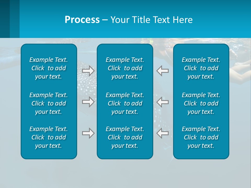 A Woman Swimming Next To A Whale In The Ocean PowerPoint Template