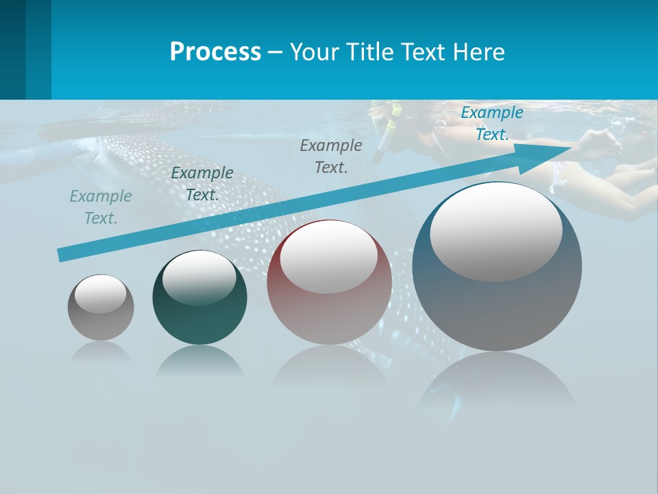 A Woman Swimming Next To A Whale In The Ocean PowerPoint Template