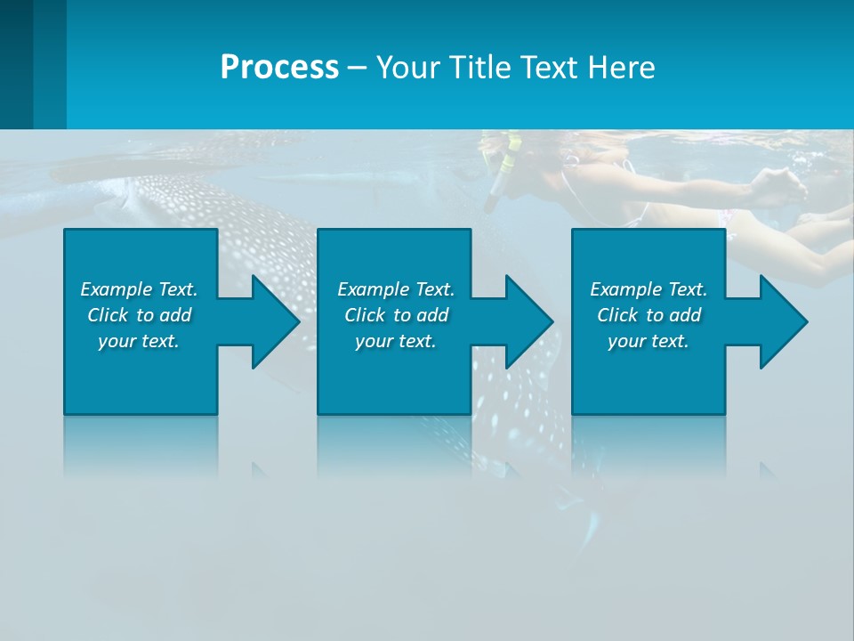 A Woman Swimming Next To A Whale In The Ocean PowerPoint Template