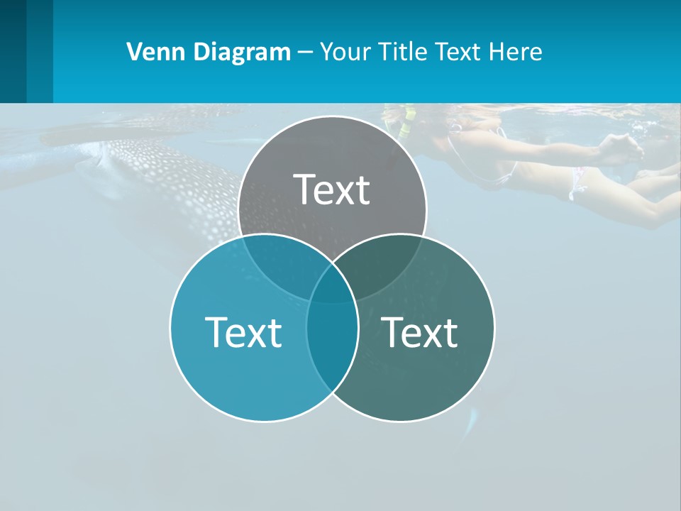 A Woman Swimming Next To A Whale In The Ocean PowerPoint Template