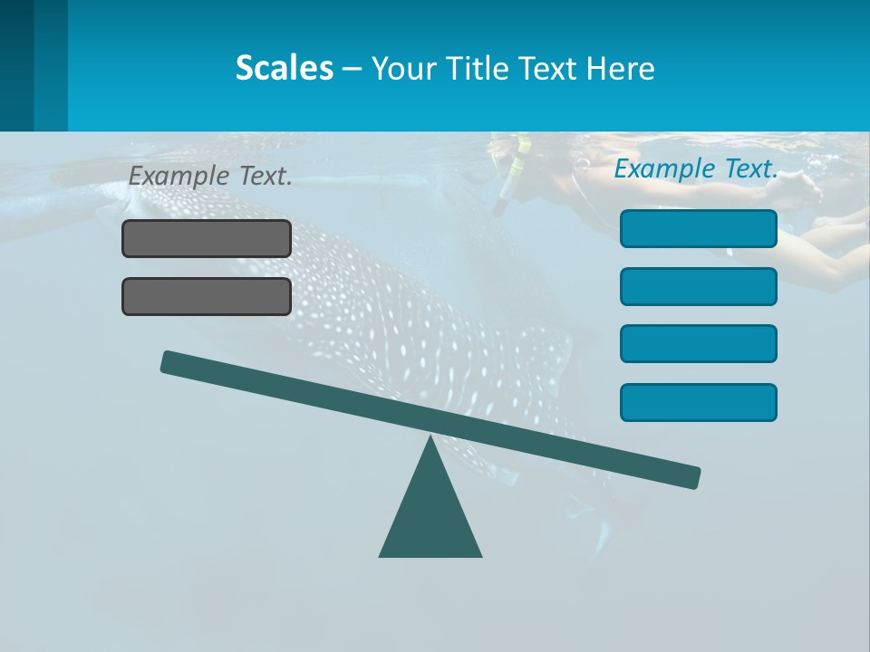 A Woman Swimming Next To A Whale In The Ocean PowerPoint Template