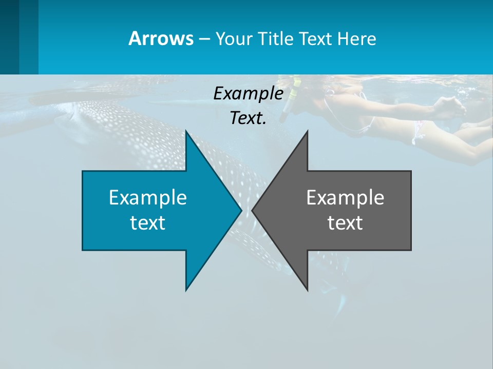 A Woman Swimming Next To A Whale In The Ocean PowerPoint Template