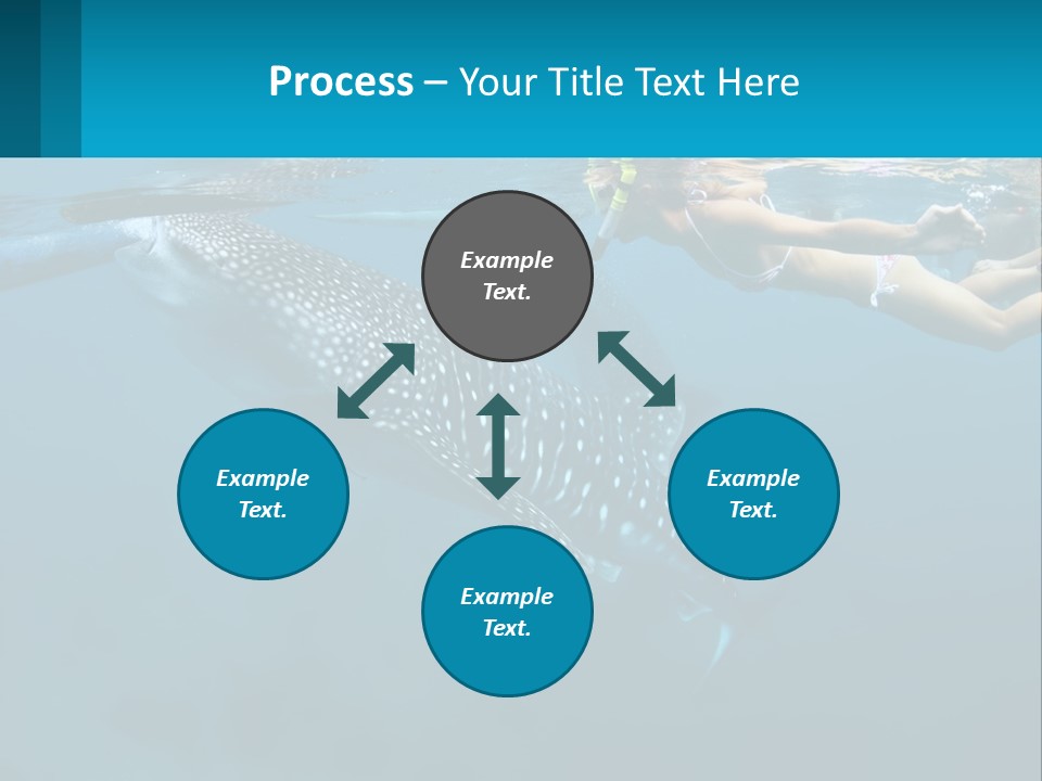 A Woman Swimming Next To A Whale In The Ocean PowerPoint Template