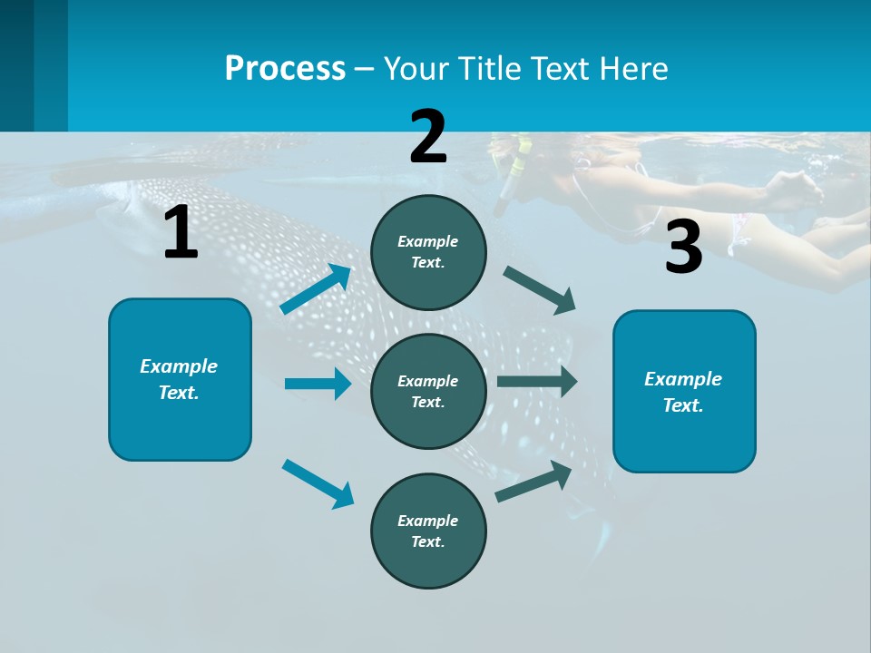 A Woman Swimming Next To A Whale In The Ocean PowerPoint Template