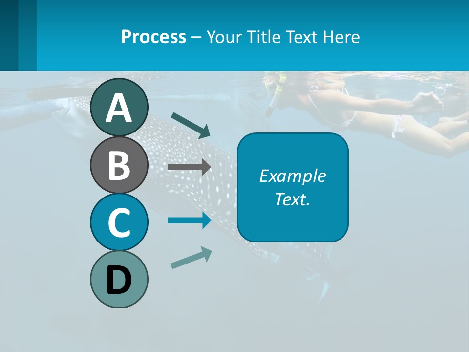 A Woman Swimming Next To A Whale In The Ocean PowerPoint Template