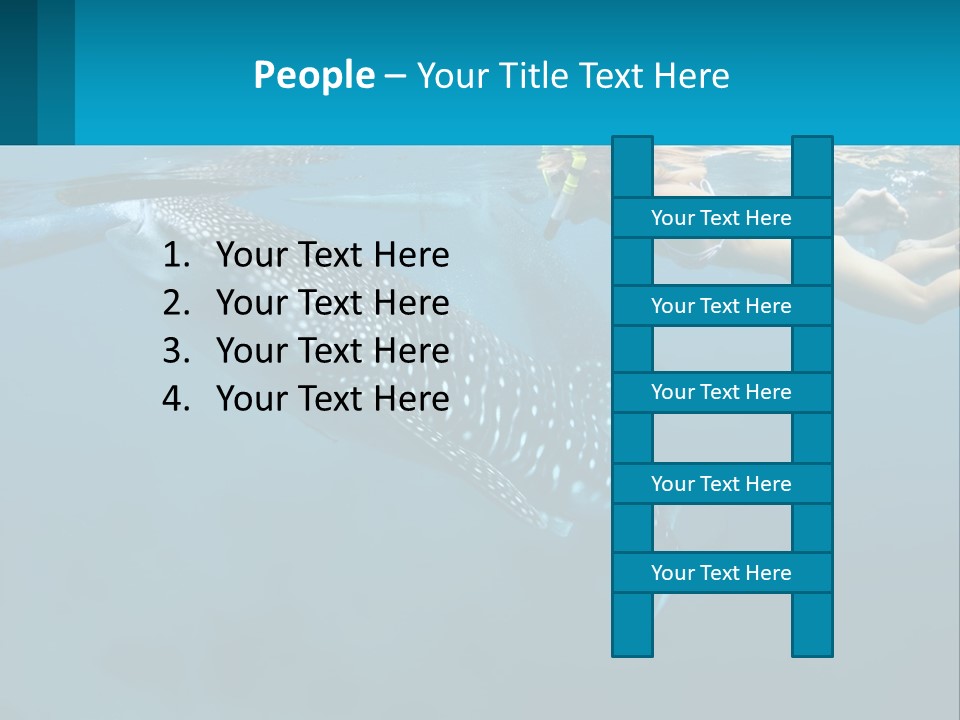 A Woman Swimming Next To A Whale In The Ocean PowerPoint Template