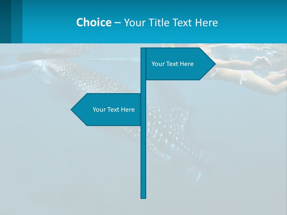 A Woman Swimming Next To A Whale In The Ocean PowerPoint Template