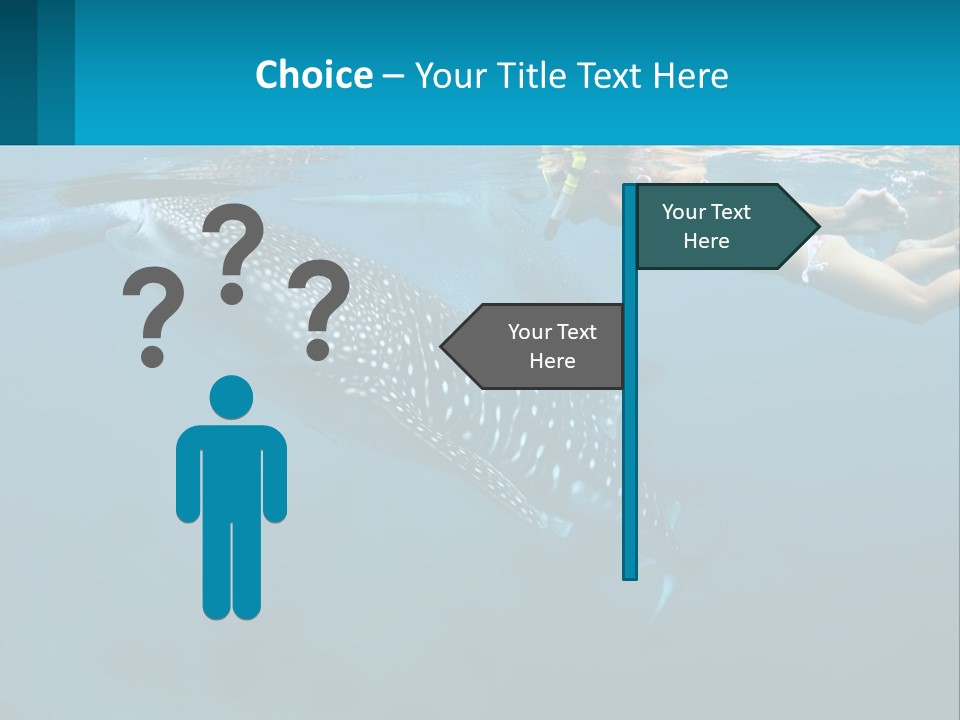 A Woman Swimming Next To A Whale In The Ocean PowerPoint Template