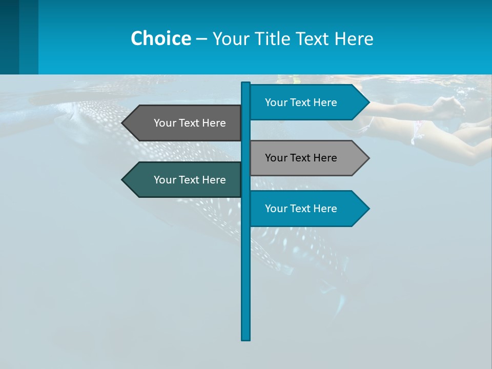 A Woman Swimming Next To A Whale In The Ocean PowerPoint Template