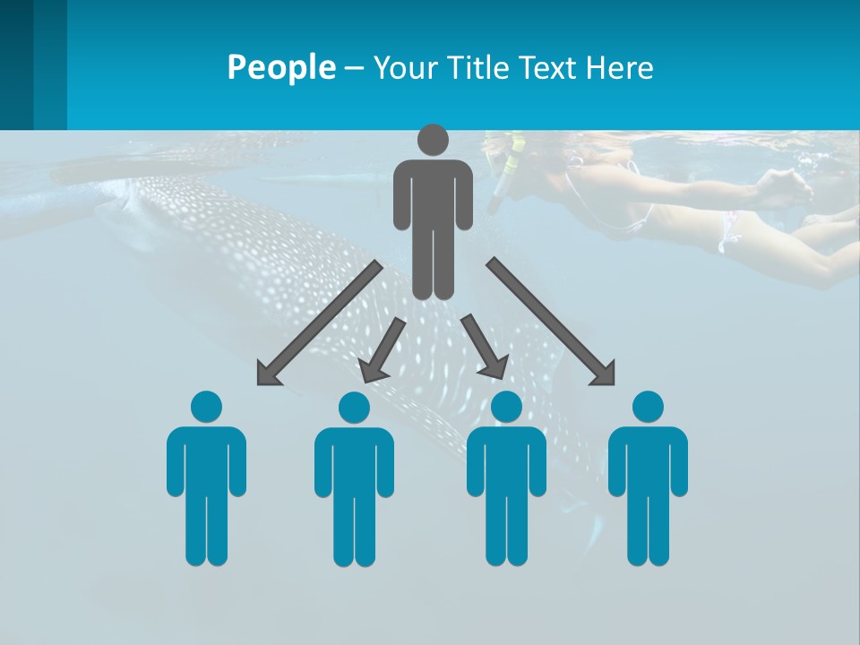 A Woman Swimming Next To A Whale In The Ocean PowerPoint Template