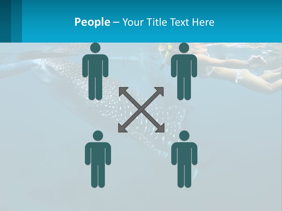 A Woman Swimming Next To A Whale In The Ocean PowerPoint Template