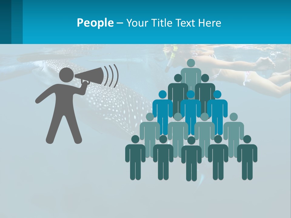 A Woman Swimming Next To A Whale In The Ocean PowerPoint Template